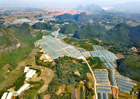 广西立异落实设施农业用地管理助力墟落振兴