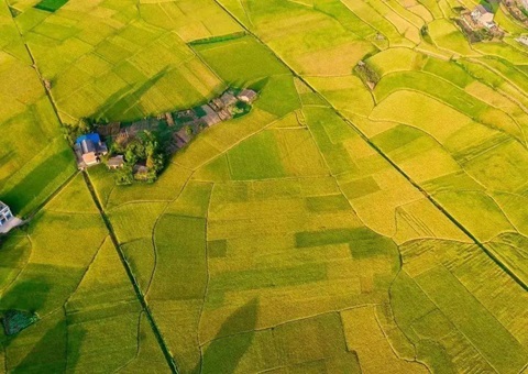 四川省启动永世基本农田储备区增补更新事情