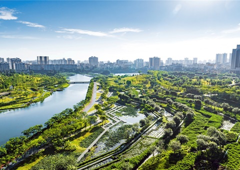 广西出台领土空间生态修复项目管理步伐