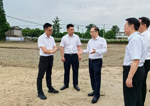 胡云赴眉山调研耕地保；；；；；；；な褂煤透弑曜寂┨锝ㄉ枋虑