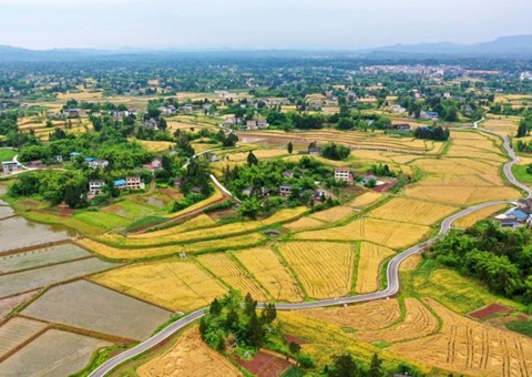 四川增强耕地调入流出管理&nbsp;&nbsp;确保实现稳固使用耕地面积净增添