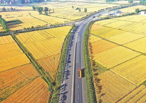 湖北奖励十五个耕保效果突出县（市、区）