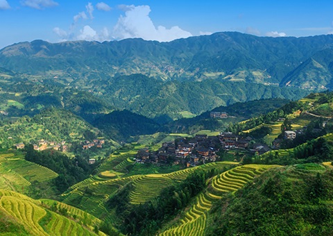 一次性200万元！&nbsp;广西在天下率先实验林权挂号财务资金激励