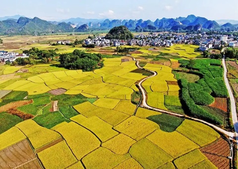 强化“指挥棒”作用&nbsp;&nbsp;柳州市发放500万元耕地保唬唬；；；；；ぁ凹だ彀