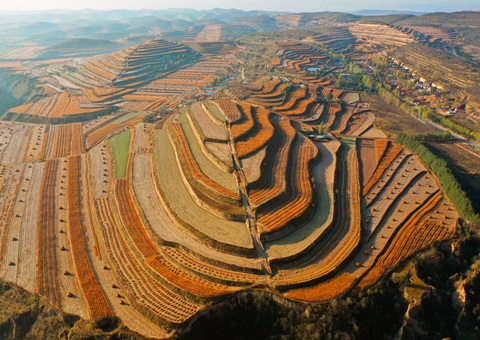 《宁夏回族自治区土地征收管理步伐》2025年11月1日起施行
