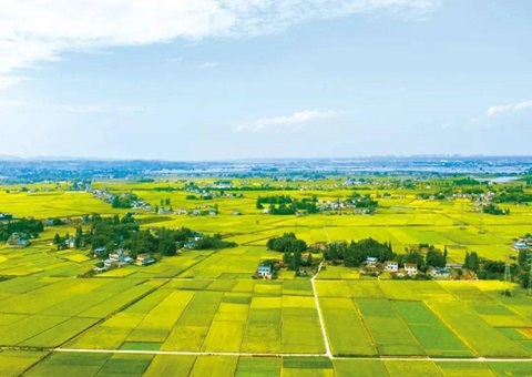 四川省眉山市局“三措并举”提升储备土地管理效能 筑牢高质量生长土地要素包管