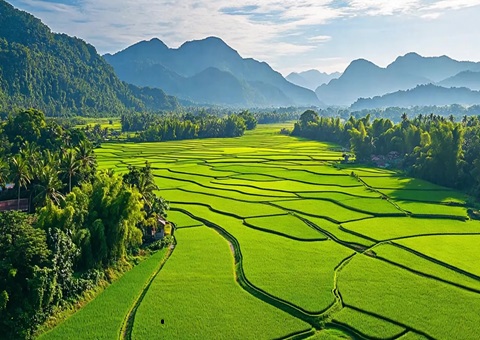 “自然资源+税务”协同共治！崇左筑牢耕地保；；；；；；び胨笆铡八赖亍