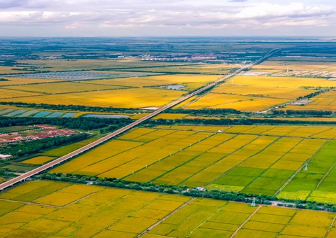 辽宁省盘锦市自然资源局完成辽河油田2023年石油钻井及配套设施项目占用永世基本农田补划地块验收事情