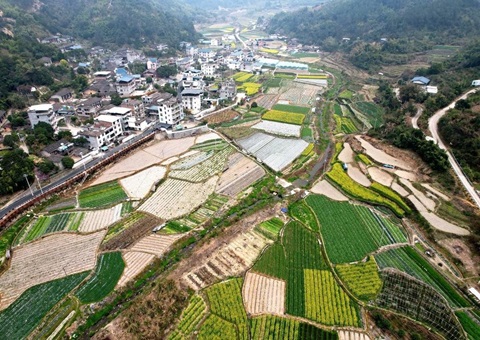 从闲置荒地到工业热土！晋江3入市项目挂牌成交