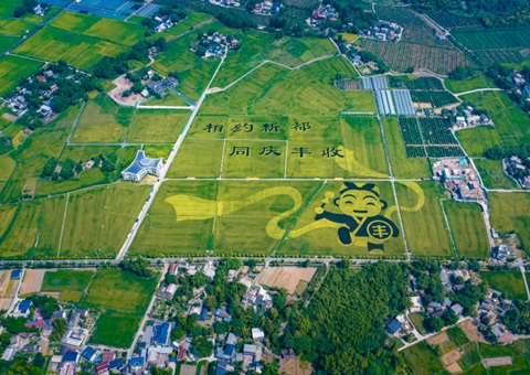 成都宣布耕地；；；；；；；ね耄∥蠢10年这样筑牢“天府粮仓”基本