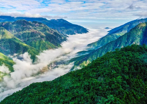 “组合包”，，，，，，流通生态产品价值转化