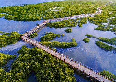 北海市打出自然资源要素包管“组合拳”  精准赋能墟落周全振兴