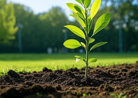 上海首提大型生态空间单位，，，，，，，2035年妄想林地面积147万亩