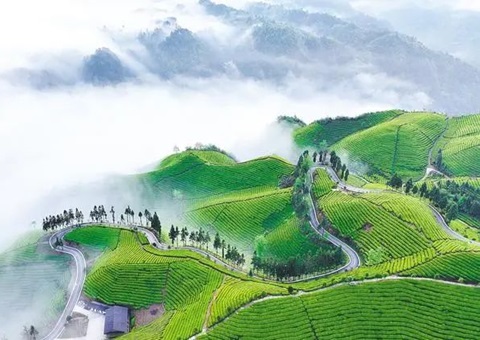 湖北省在天下率先实现林权与不动产挂号数据互通