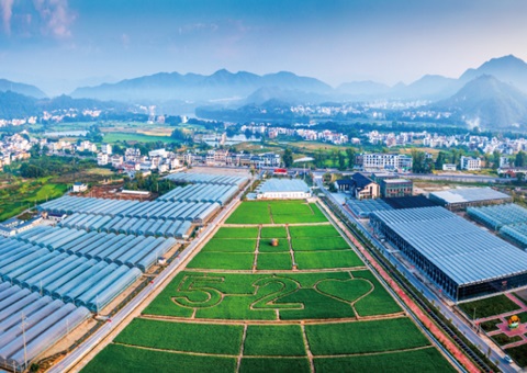 江西赣州充分验展妄想手艺力量服务墟落振兴——把墟落妄想事情做到田间地头