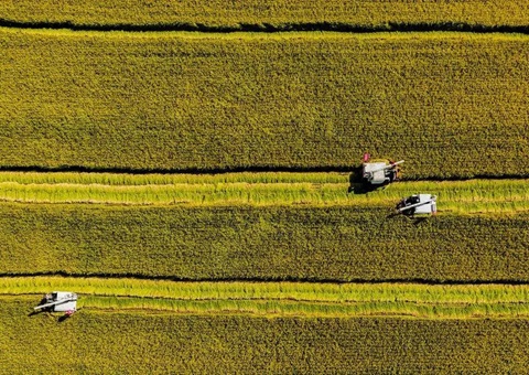 辽宁省耕地地力；；；；；；そ蛱曜汲鎏