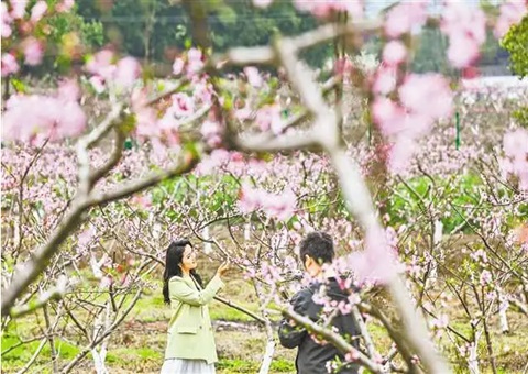 巴渝和美墟落现场会为何在铜梁召开