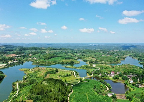 3.25亿吨、估值38.41亿元&nbsp;&nbsp; 四川有这些生态系统碳汇“家底”