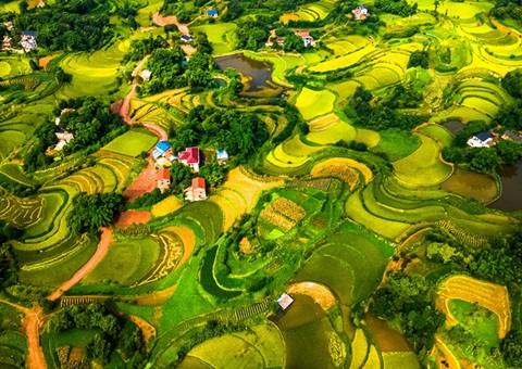 @农民朋侪 2025年重庆市耕地地力保；；；；；；；そ蛱苹戳