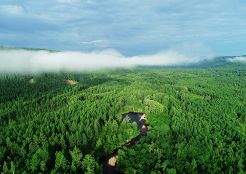 湖北首个大型运动碳中和指导意见宣布