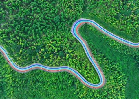 组合供应出新招，，，，，，竹海收益节节高——桃江县“桃花江竹海”自然资源资产组合供应推动生态产品价值实现案例