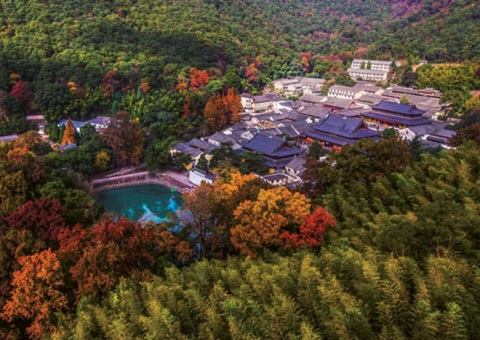 浙江：森林公园生态旅游怎样高质量生长？？？？？？