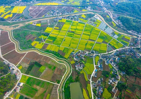 湖北省自然资源厅包管重点农业工业链高质量生长