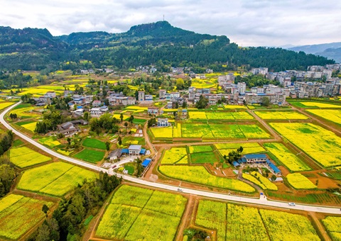 四川已刊行土地储备专项债券186.66亿元