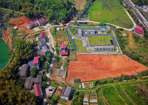 株洲：“三链联动”推动耕地耕作层剥离再使用