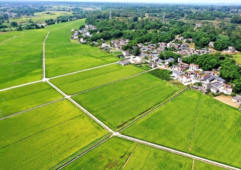 四川建成永世基本农田监测羁系系统&nbsp;&nbsp;率先实现同国家级系统对接与跨部分数据共享